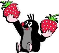 3D-Magnet Der Kleine Maulwurf Erdbeere